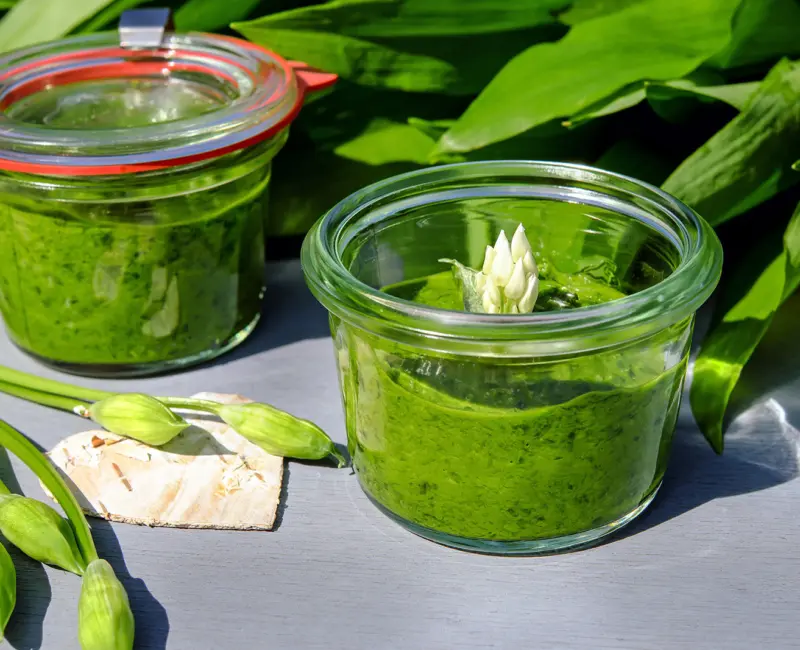 Molho Pesto de Abacate e Mostarda