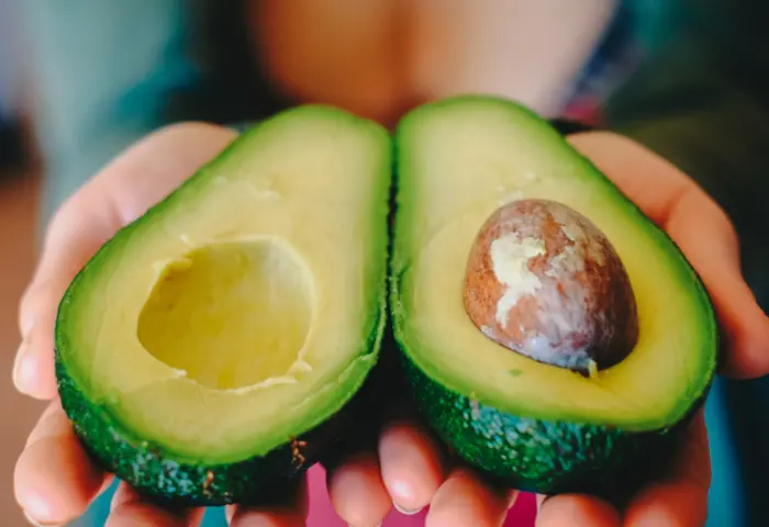 Conheça a origem do Avocado