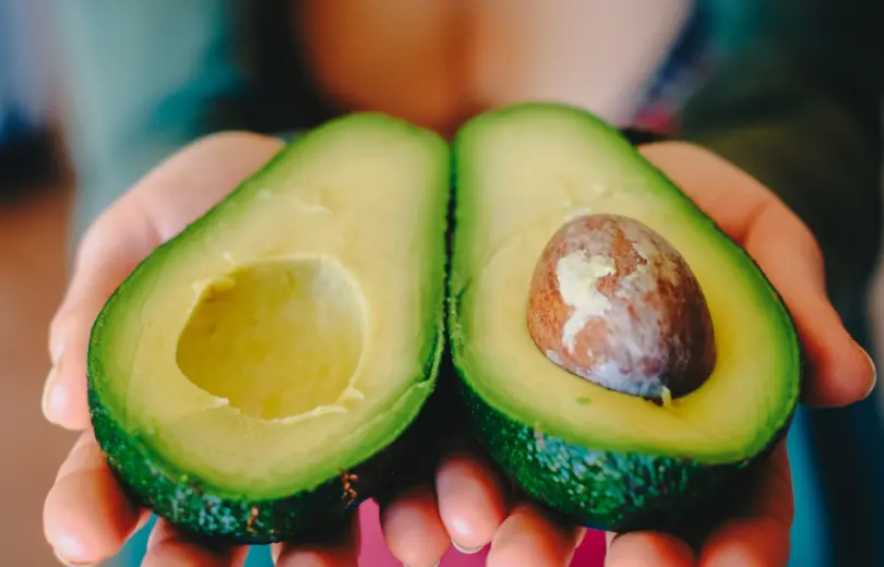 Conheça a origem do Avocado