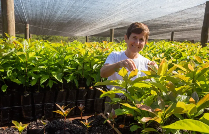 O impacto feminino no mundo do Abacate